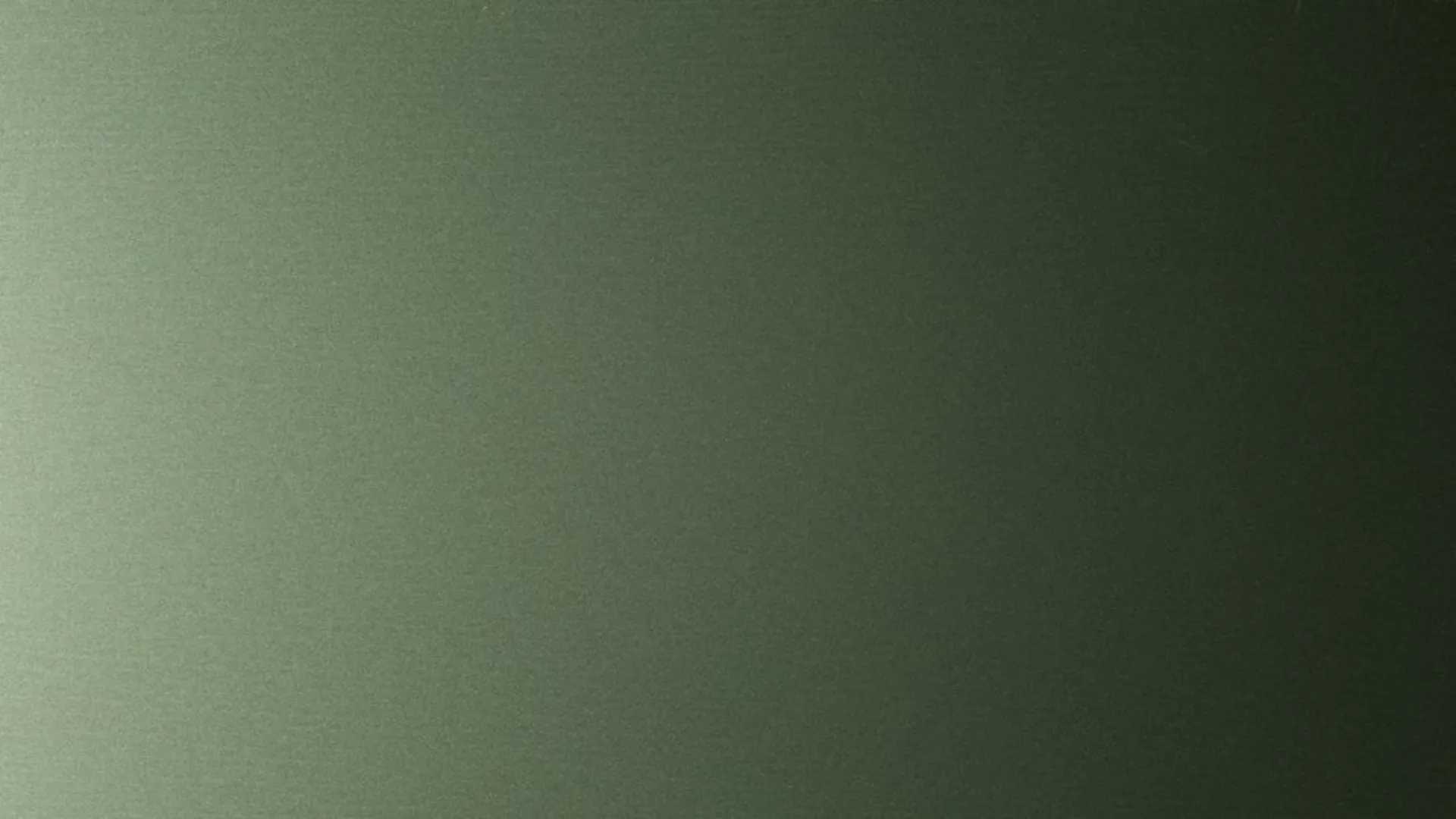 Hairplus - Moss 4688 - 2_jpg_productSliderTopBig